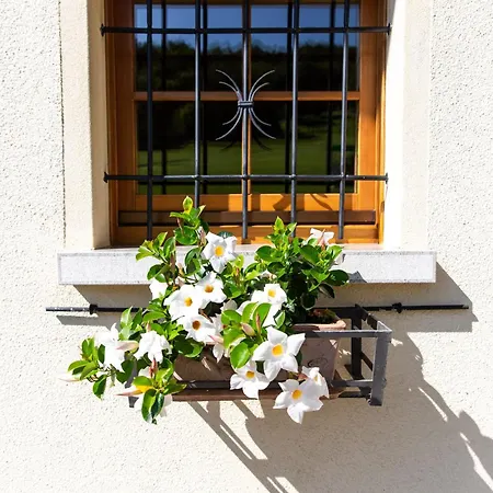 Casa Anna * Trichiana
